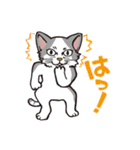 ダルねこ日常 vol.2（個別スタンプ：14）