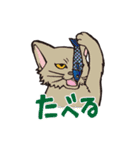 ダルねこ日常 vol.2（個別スタンプ：21）