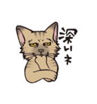 ダルねこ日常 vol.2（個別スタンプ：22）