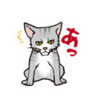 ダルねこ日常 vol.2（個別スタンプ：24）