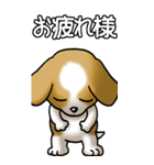 犬大好き！その1（セントバーナード）BIG（個別スタンプ：37）