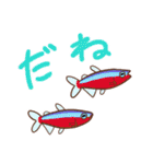 淡水魚っていいな（個別スタンプ：10）