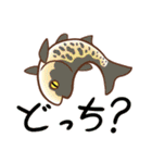 淡水魚っていいな（個別スタンプ：12）