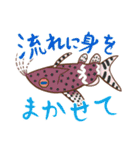 淡水魚っていいな（個別スタンプ：13）