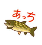 淡水魚っていいな（個別スタンプ：16）