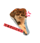 チャミちゃん❤（個別スタンプ：2）