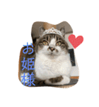 チャミちゃん❤（個別スタンプ：3）
