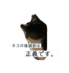 チャミちゃん❤（個別スタンプ：4）