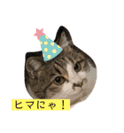 チャミちゃん❤（個別スタンプ：9）