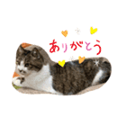 チャミちゃん❤（個別スタンプ：10）