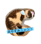 チャミちゃん❤（個別スタンプ：11）