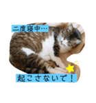 チャミちゃん❤（個別スタンプ：13）