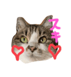 チャミちゃん❤（個別スタンプ：16）