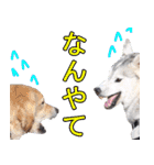 チームフラパ（個別スタンプ：19）