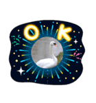 かわいい 白鳥スタンプ（個別スタンプ：8）
