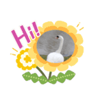 かわいい 白鳥スタンプ（個別スタンプ：27）