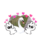 かわいい 白鳥スタンプ（個別スタンプ：29）