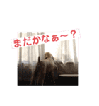 バディとグッキー（個別スタンプ：1）