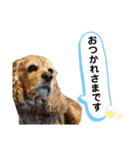 バディとグッキー（個別スタンプ：9）