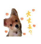 めいちゃんのスタンプ1♡（個別スタンプ：1）