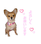 めいちゃんのスタンプ1♡（個別スタンプ：8）