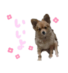 めいちゃんのスタンプ1♡（個別スタンプ：14）