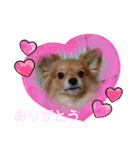 めいちゃんのスタンプ1♡（個別スタンプ：22）