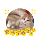 ねこまーち もちもちベイビーちゃん（個別スタンプ：6）