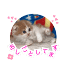 ねこまーち もちもちベイビーちゃん（個別スタンプ：7）