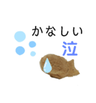 およげたいやきママ【母から家族へ】（個別スタンプ：39）