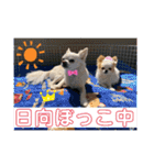 リンとユキのスタンプ3（個別スタンプ：4）