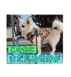 リンとユキのスタンプ3（個別スタンプ：12）