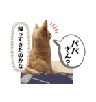 リンとユキのスタンプ3（個別スタンプ：19）