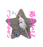 リンとユキのスタンプ3（個別スタンプ：31）
