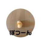 リンとユキのスタンプ3（個別スタンプ：35）