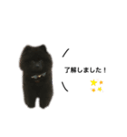 ゆうのんちのくまさん（個別スタンプ：1）