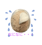 ねこちゃんどうしたの？新版（個別スタンプ：3）