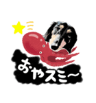 ミニチュアダックスの気ままなランチ24（個別スタンプ：5）