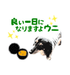 ミニチュアダックスの気ままなランチ24（個別スタンプ：8）