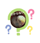 インコ雛STYLE（個別スタンプ：7）