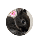 チョコくんだよ。（個別スタンプ：18）
