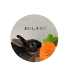 チョコくんだよ。（個別スタンプ：19）