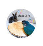 チョコくんだよ。（個別スタンプ：22）
