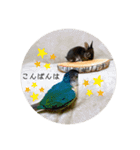 チョコくんだよ。（個別スタンプ：23）