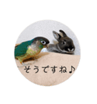 チョコくんだよ。（個別スタンプ：27）