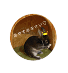 チョコくんだよ。（個別スタンプ：32）