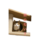 こまちのほのぼの生活（個別スタンプ：1）
