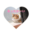 こまちのほのぼの生活（個別スタンプ：4）