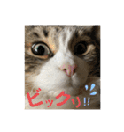 かわいいビビ♡（個別スタンプ：1）