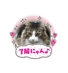 かわいいビビ♡（個別スタンプ：21）
